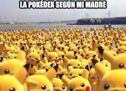 Enlace a Ella solo conoce a Pikachu