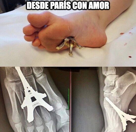 Meme_otros - Va a recordar su visita a París durante toda su vida