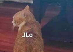 Enlace a Liberen al pobre Ben