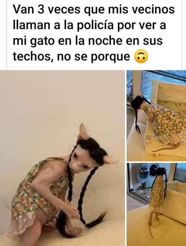 Meme_otros - El verdadero terror