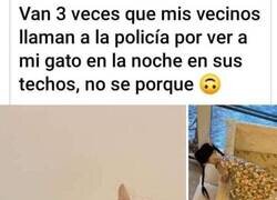 Enlace a El verdadero terror