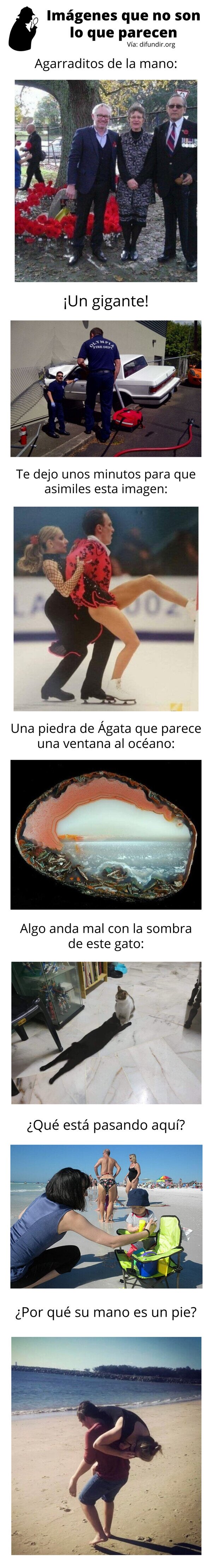Meme_otros - Imágenes que no son lo que parecen
