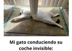 Enlace a Las imágenes más 'random' de animales