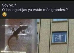 Enlace a Será por el cambio climático