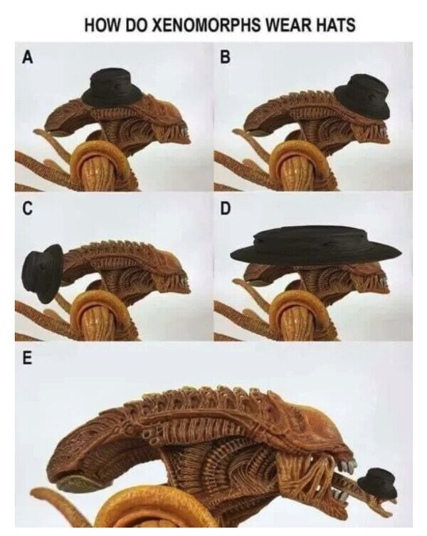 Meme_otros - ¿Cómo vestiría Alien un sombrero?