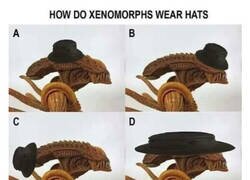 Enlace a ¿Cómo vestiría Alien un sombrero?