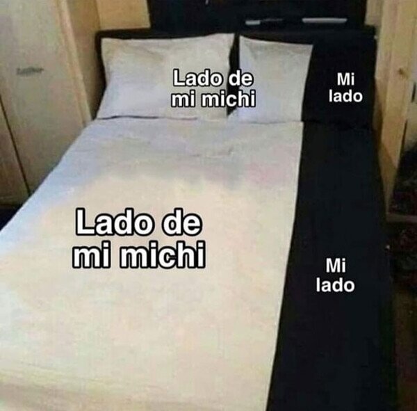 Meme_otros - Así duermen las personas que tienen gato