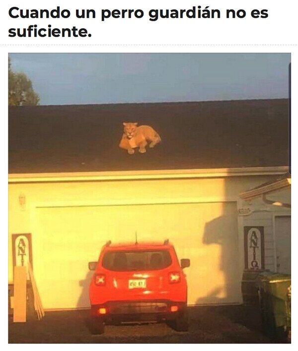 Meme_otros - Que me robe quien se atreva
