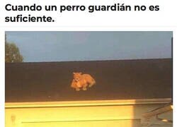 Enlace a Que me robe quien se atreva