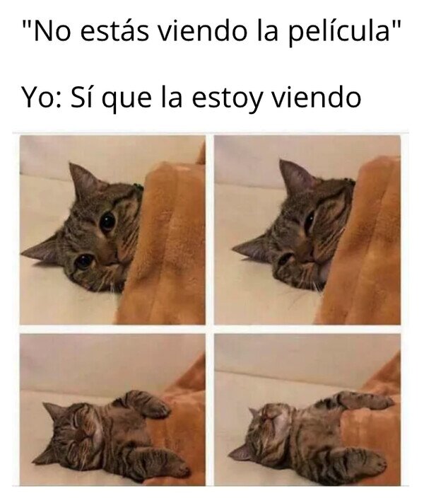 Meme_otros - A quién queiro engañar