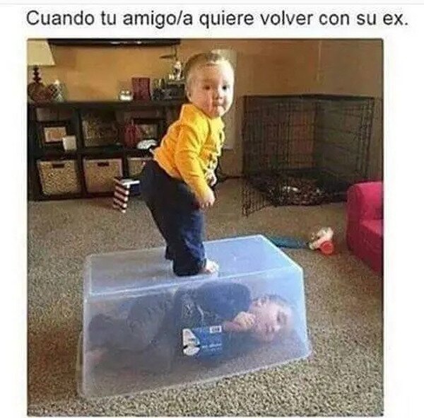 Meme_otros - No lo permitiré