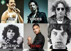 Enlace a No todas las voces