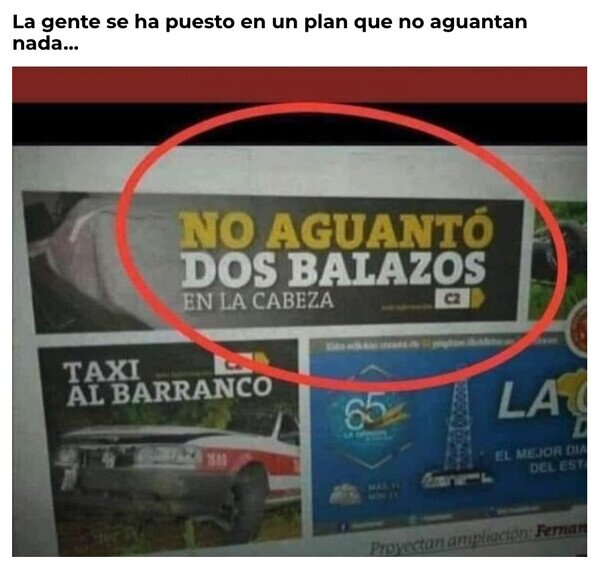 Otros - Se mueren a la mínima