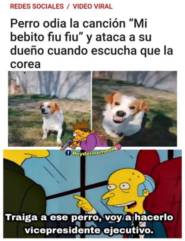 Meme_otros - Quiero a ese perro