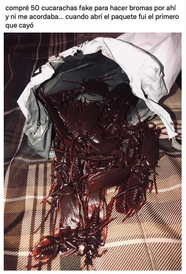 Meme_otros - Cayó en su propia broma