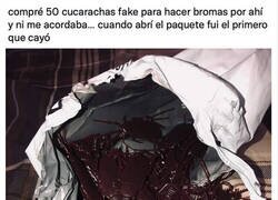 Enlace a Cayó en su propia broma