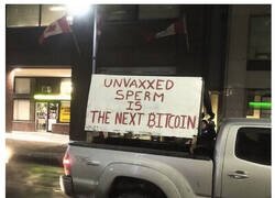 Enlace a Solo pudo escribirlo alguien así