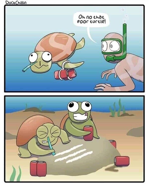 Meme_otros - Tortuga no tan pobre