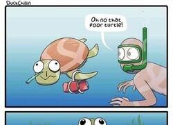 Enlace a Tortuga no tan pobre