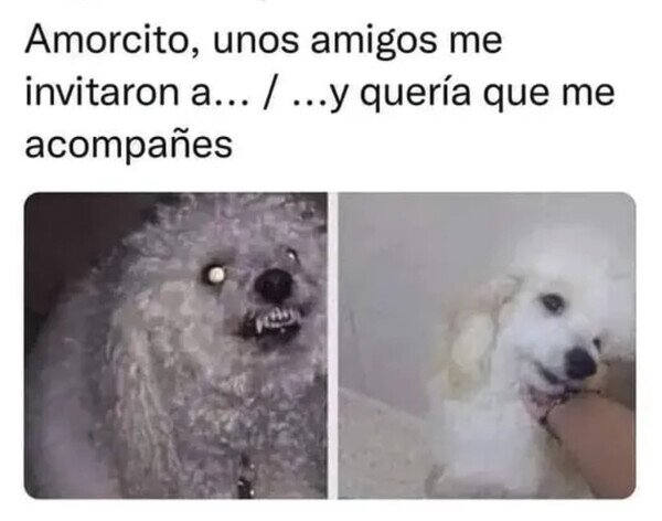 Otros - Casi no me deja ni que acabe