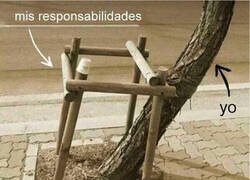 Enlace a Se me da bien esquivarlas