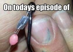 Enlace a Hoy en, 'Fotos que puedes sentir'