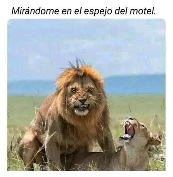 Meme_otros - Así nos vemos
