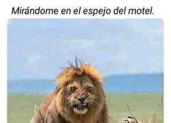 Enlace a Así nos vemos