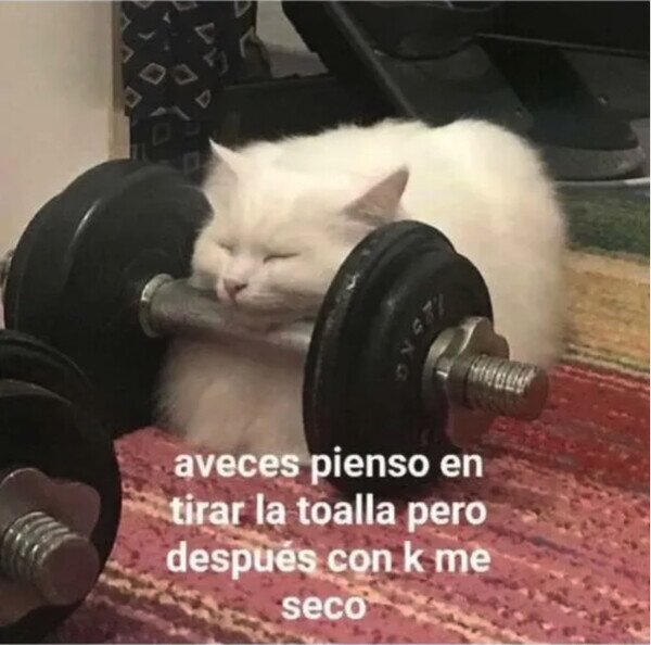 Meme_otros - No puedo tirar la toalla