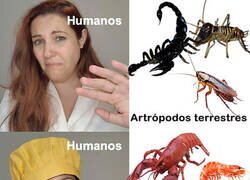 Enlace a Si los bichos nadan, están deliciosos