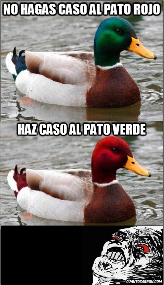 Allthethings - ¿A quién le hago caso entonces?