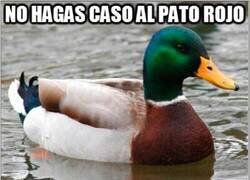 Enlace a ¿A quién le hago caso entonces?