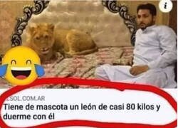 Enlace a Eso no es nada