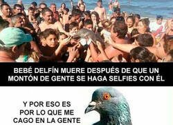 Enlace a Otro día más en el que la raza humana me da asco