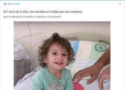 Enlace a Los genes también son indestructibles