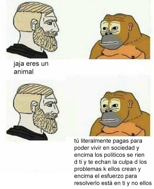Otros - No sé quién es aquí el animal