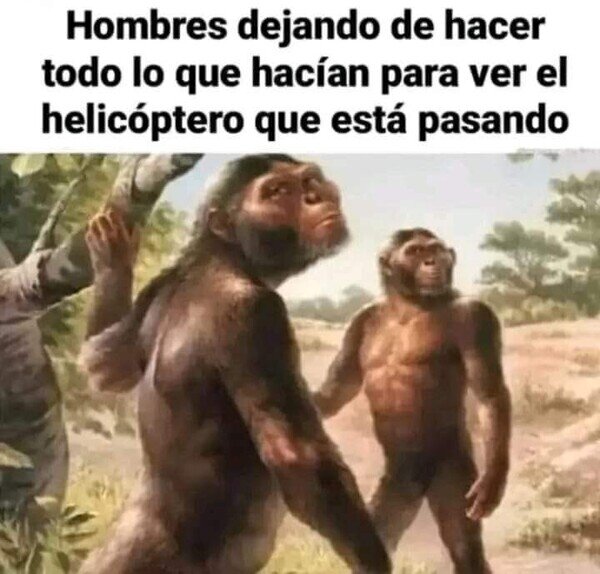 Meme_otros - Por qué somos tan básicos