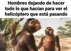 Enlace a Por qué somos tan básicos