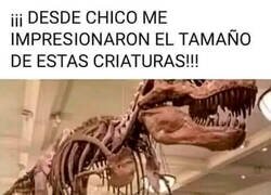 Enlace a Mis dos grandes aficiones