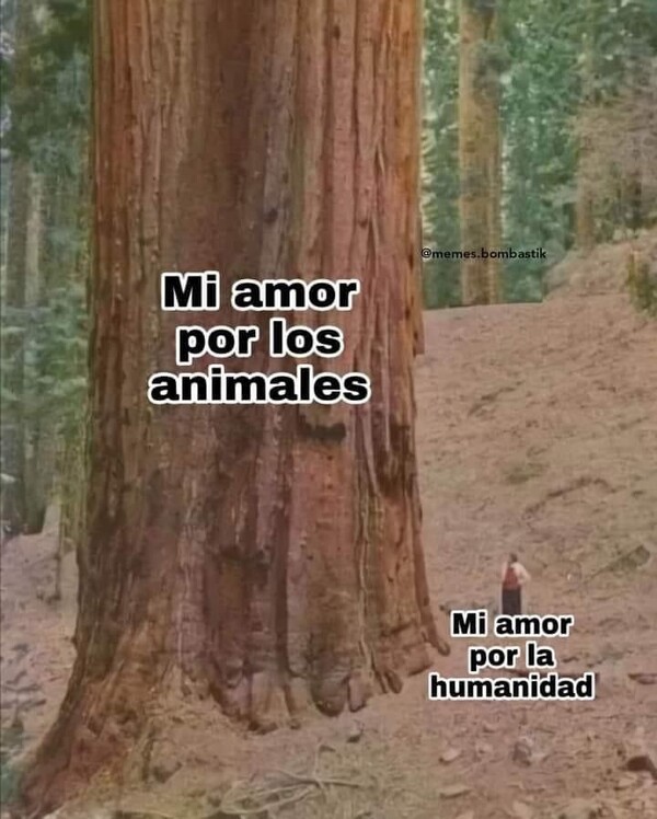 Meme_otros - Y cuanto mayor soy, va a más