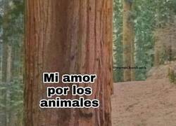 Enlace a Y cuanto mayor soy, va a más