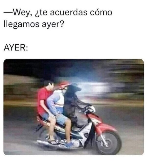 Meme_otros - Gracias Firulais, qué haríamos sin ti