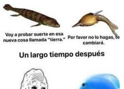 Enlace a Estábamos avisados