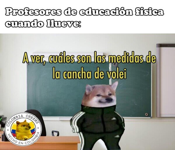 Otros - Todos hemos sufrido las clases teóricas de gimnasia