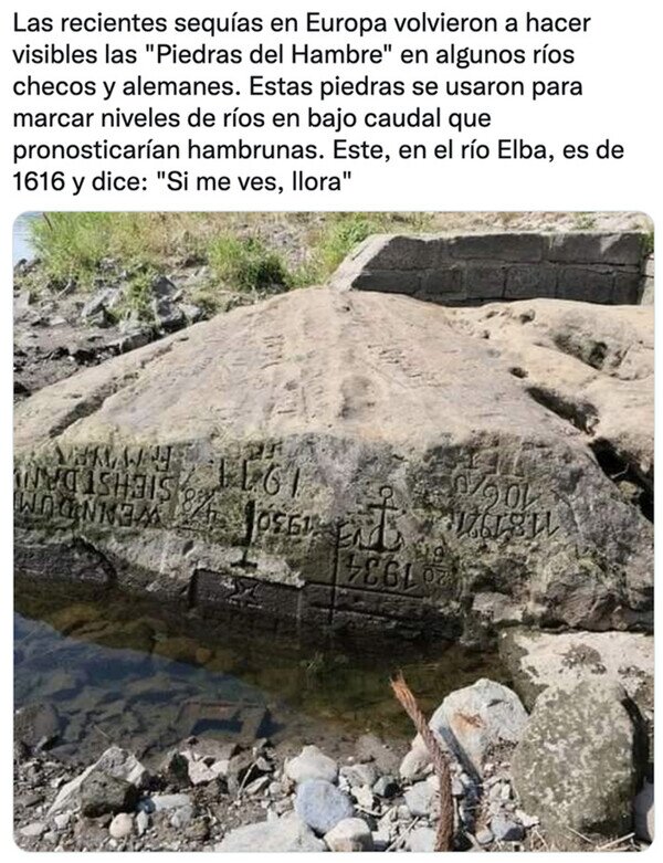 Meme_otros - Esto pinta bastante feo