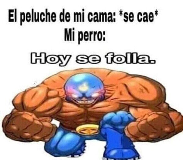 Otros - Los perros siempre están al acecho