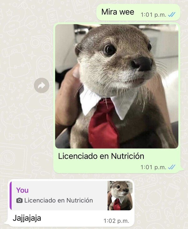 Otros - Licenciado en nutri-ción