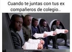 Enlace a Y bien orgulloso con mi michi