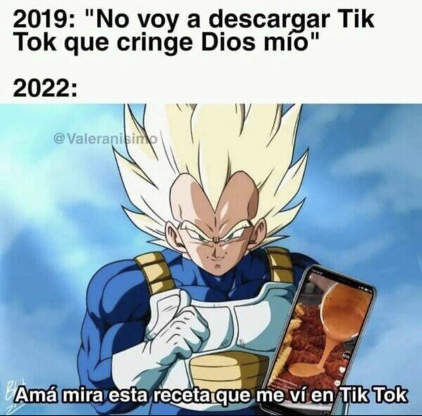 Meme_otros - Todos hemos terminando cayendo ante TikTok