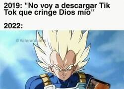 Enlace a Todos hemos terminando cayendo ante TikTok